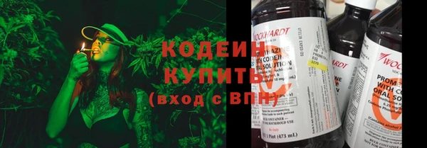 хмурый Михайловск
