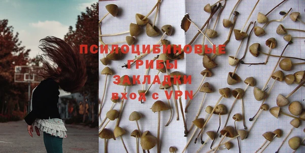 хмурый Михайловск